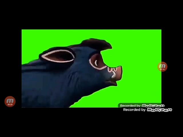 Куба бежит футаж 3.0