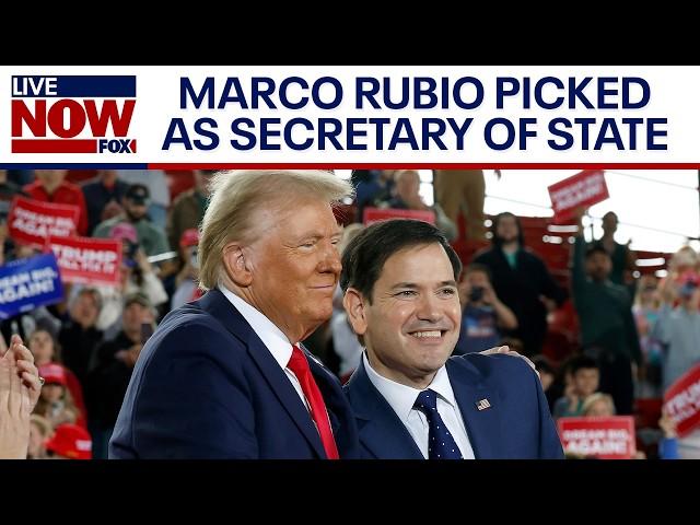 Trump cabinet: Marco Rubio expected to be named as Secretary of State | LiveNOW from FOX