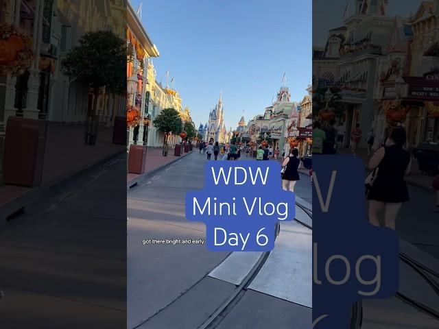 WDW Mini Vlog day 6! #disneyvlogging #magickingdom #ropedrop #epcot #disneyworldvlog