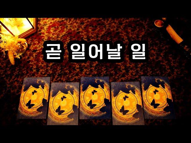 [타로] 곧 나에게 생길 일