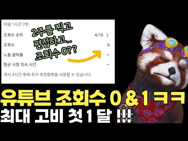 롱폼 유튜브 현실 조회수 0 - x나 빡시게 만들었는데... 대체 왜? (오늘 판다의 움직임이.. 좀.. ;;ㄷㄷ)