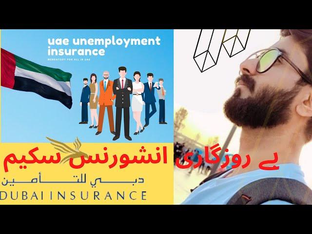 How To Subscribe UAE Unemployment Scheme/Unemployment Insurance