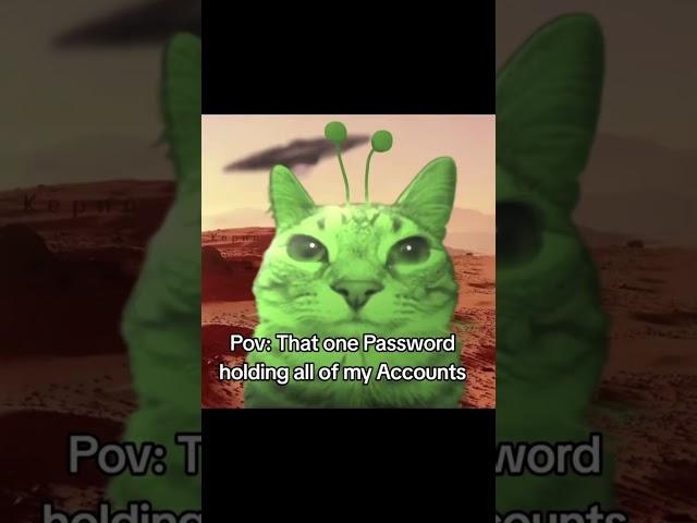 Daily dose of random memes!  part 84