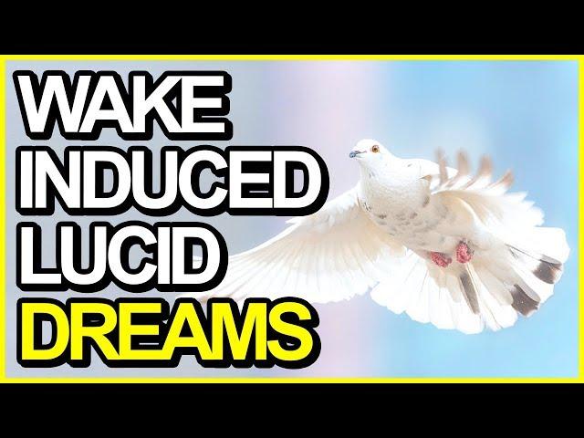 How To Lucid Dream Tonight In 5 Steps (Updated WILD Tutorial)