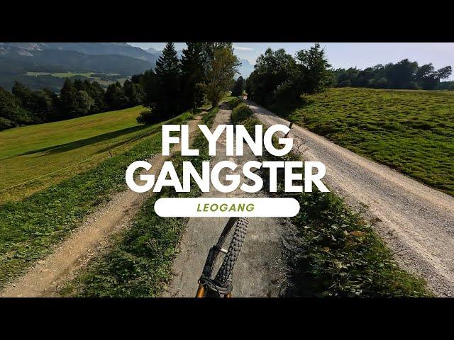 Flying Gangster | most popular Line at Bikepark Leogang | Austria  full run POV RAW