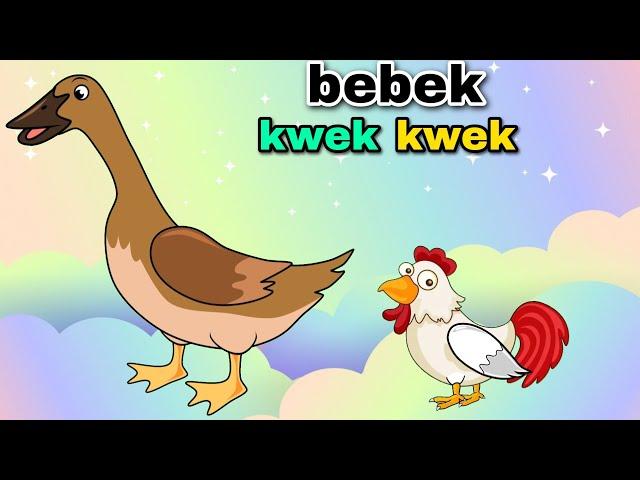 Bebek Kwek Kwek Bebek Nyosor Lagu Anak Anak Lucu