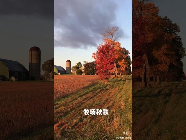 Farmlands in Ontario 安大略牧场风光