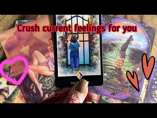 Crush feelings/ emotions for you️‍ Crush current feelings | Hindi tarot card