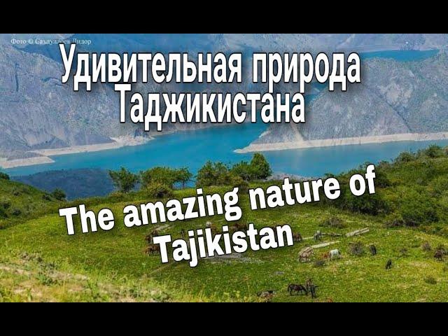 Удивительная природа Таджикистана. The amazing nature of Tajikistan.  طبیعت تاجیکستان . Точикистон