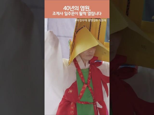 40년의 염원, 조계사 일주문이 활짝 열립니다. #조계사 #일주문 #역사적인순간 #shorts