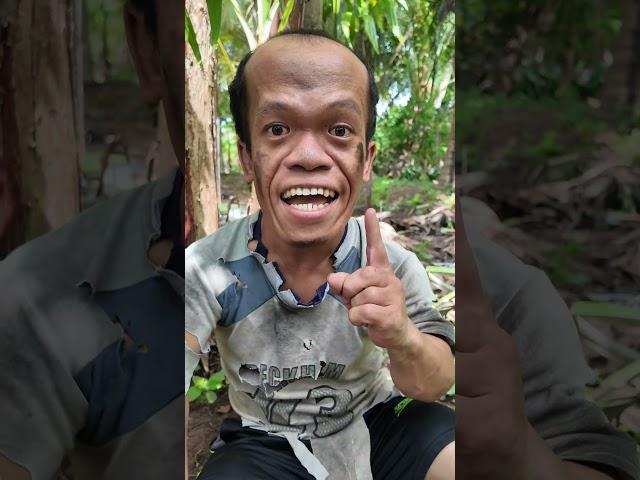 Survival skills First aid for snake bites  #campping
