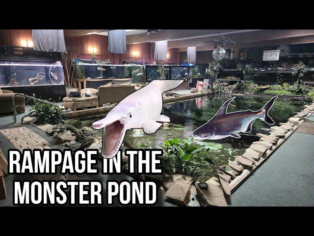 Chaos Erupts in the 58,000g Monster Pond, new Adoptables available & more