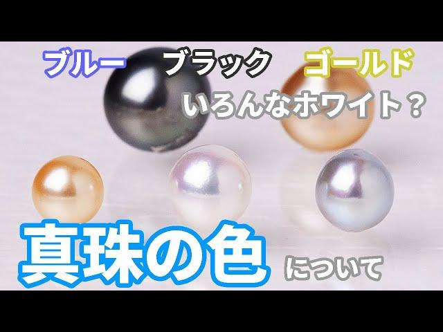 パールの色とは | 調色と無調色の違い ブラック ゴールド グレー ホワイト系のバリエーションを解説
