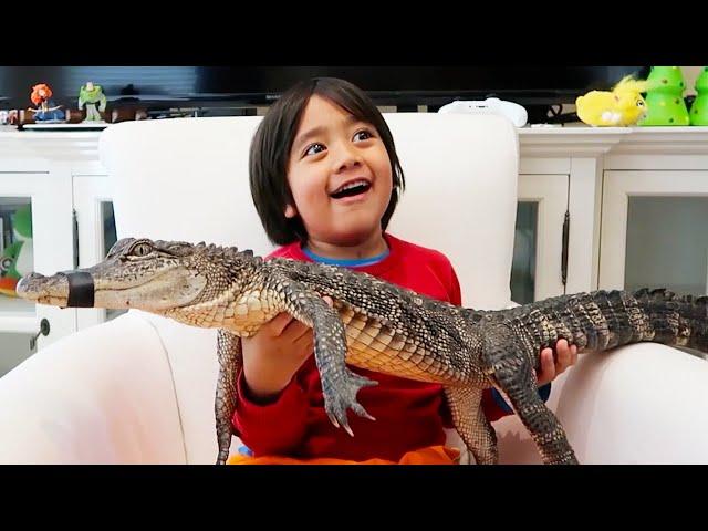 Animals come to visit Ryan's House and more one hour kids video!