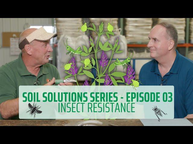 Soil Solutions Series | Ep. 03 | Insect Resistance #regenerativeagriculture #planthealth #soilhealth