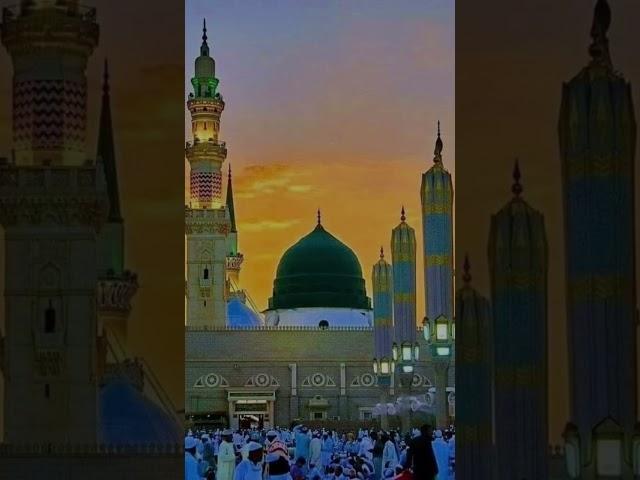 SR SHOAIB RAZA @#0786 MADINA SHARIF TRAINING VIDEO