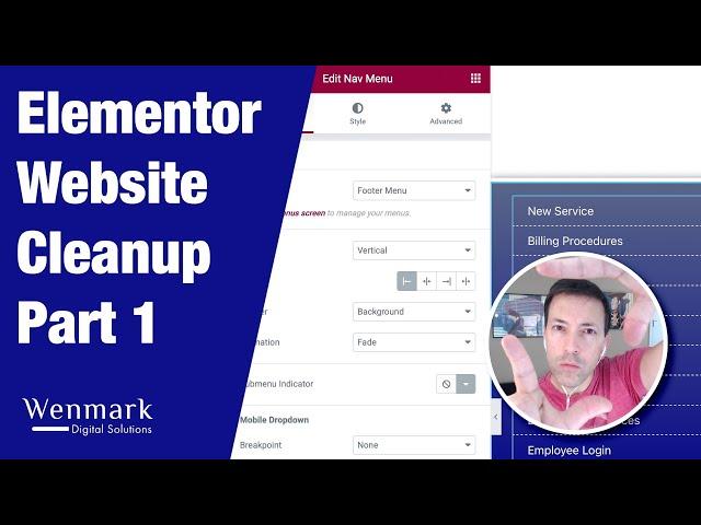 Elementor Site Cleanup - Part 1