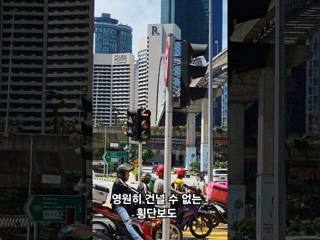10분 만에 길건너기 성공