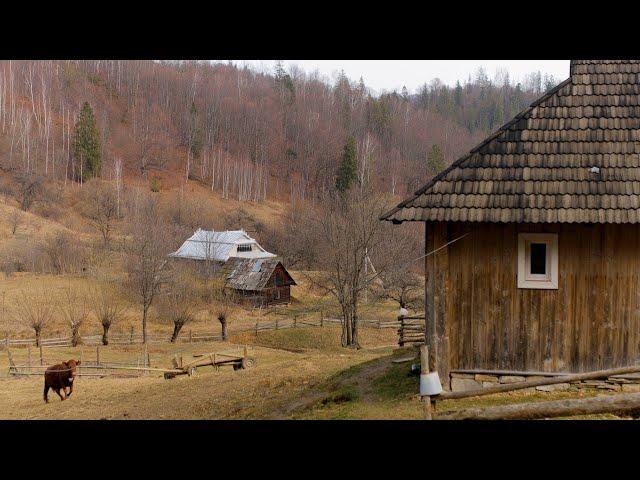 Edge of Wilderness: 4 Days With a Large Family Living a Secluded Lifestyle in Mountains