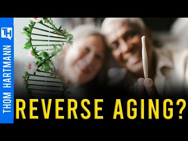 Did Scientists Prove a Common Street Drug Can Reverse Aging?