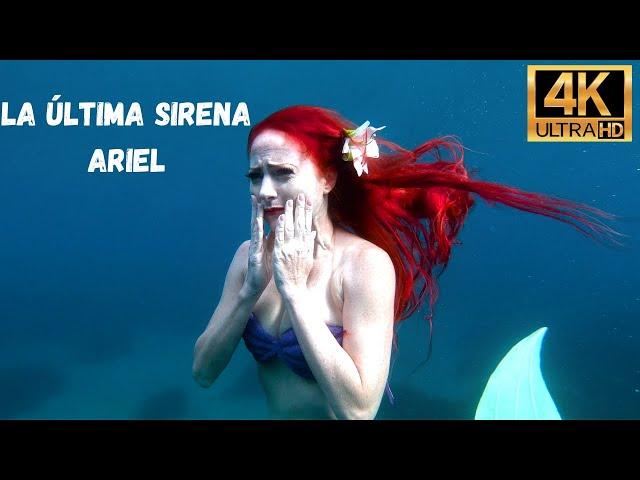 La última sirena Ariel ( La Sirenitta )