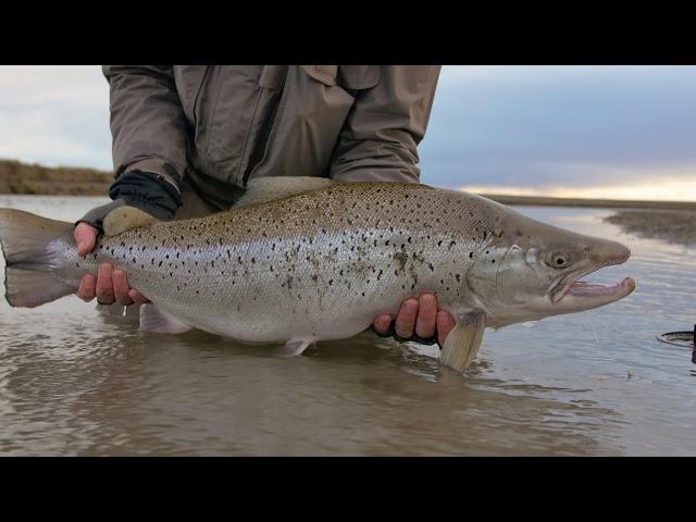 Vagabond Fly: Fly Fishing the Rio Grande (Tierra del Fuego) for SeaTrout. Grande Central Station