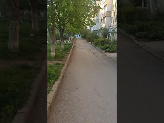 Весна