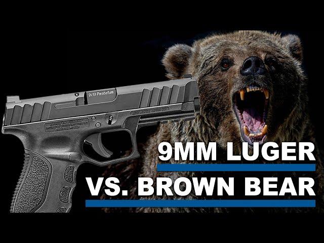 9mm Luger vs. Grizzly!