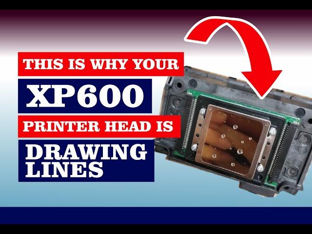 This is Why Your XP600 Printer Head is Drawing Lines