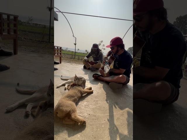 Working on new tune with Rajip, the dog, the cat and the rooster 