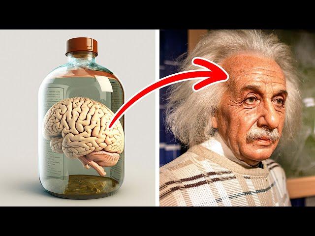 Einstein war ein normaler Angestellter und andere Fakten über ihn