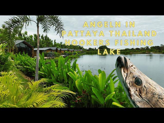 Angeln im Paradies: Hookers Fishing Lake Pattaya – Große Fische und exotische Arten entdecken!  4k