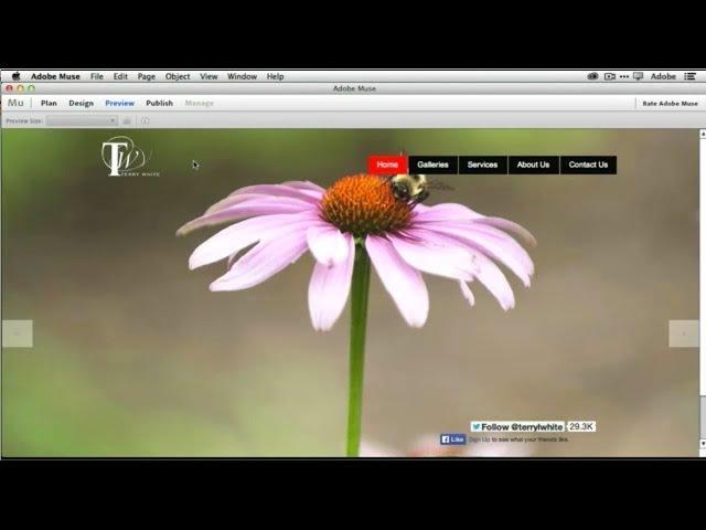 How To Get Started With Adobe Muse CC - 10 Things Beginners Want To Know How To Do