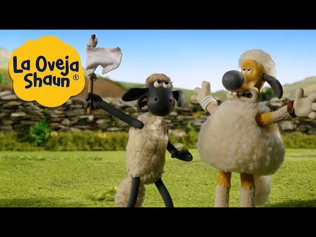 La Oveja Shaun  Perro con piel de oveja  Dibujos animados para niños