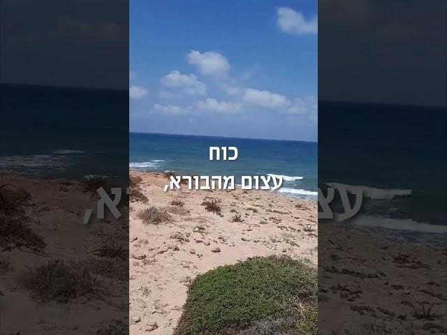 להפוך חרדה להעצמה לפי הזוהר #מרכזהקבלה #קבלה #רותבוהנה #מסרשבועי #הזוהרהקדוש