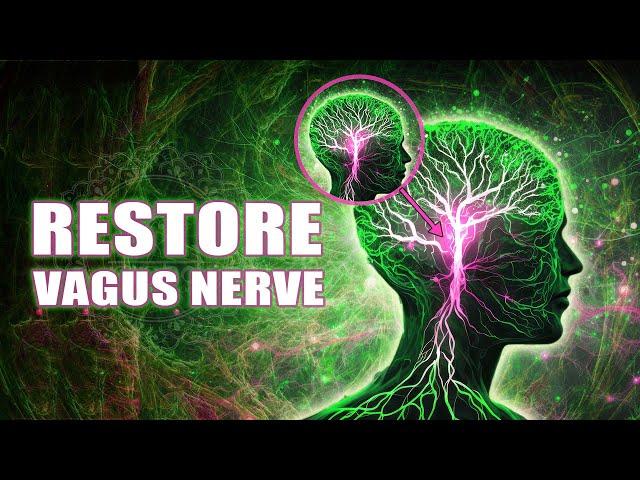 Restore Vagus Nerve | Resetting Inner Harmony And Happiness | 741 Hz Reverberation