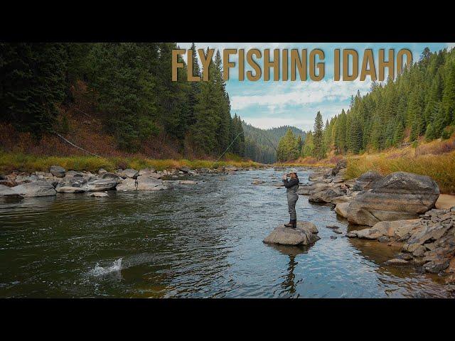 ALMOST Every Cast We Caught Trout! (Fly Fishing for Trout)