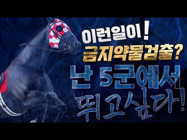 [경마] 금지약물 검출난 5군에서 뛰고싶다! #경마 #경마방송