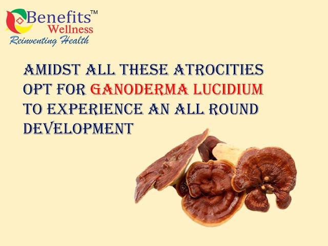 Now Get Benefits Of Ganoderma Lucidium  With Benefits Plus