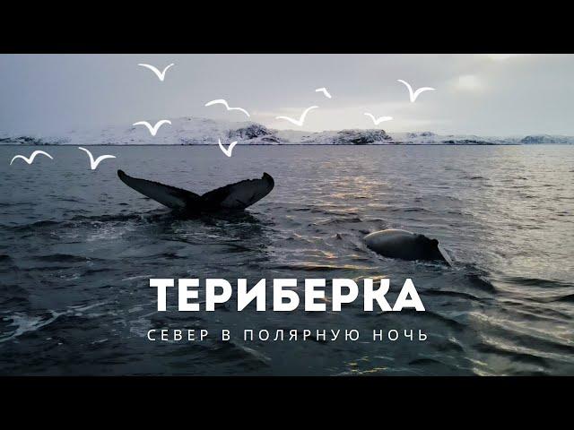 ТЕРИБЕРКА: КОГДА РЕАЛЬНОСТЬ КРУЧЕ ОЖИДАНИЙ|ВСТРЕЧА С КИТАМИ|ПОЛЯРНАЯ НОЧЬ|ПУТЕШЕСТВИЕ ПО РОССИИ