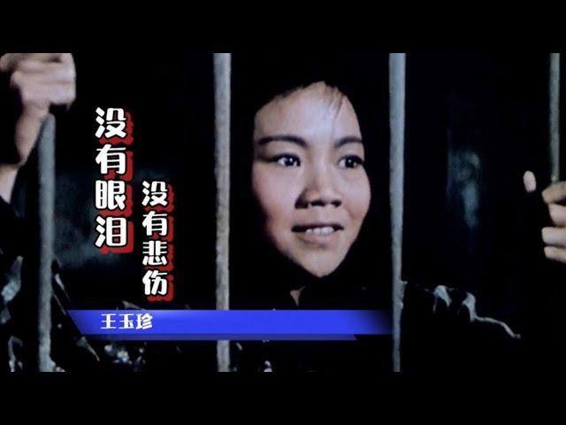 王玉珍-《没有眼泪 没有悲伤》，原汁原味，致敬经典【岭枫音乐】