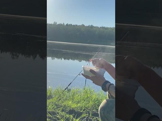 Ловите атмосферу спокойствия #рыбалка #fishing