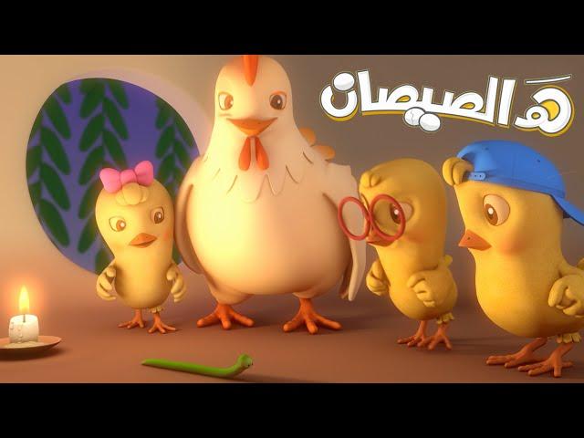 هالصيصان + يلا تنام | كتاكيت بيبي 2019