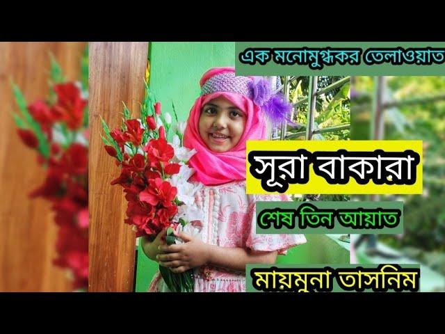 ফজিলত পূর্ণ আয়াত। সূরা বাকারা শেষ তিন আয়াত। সকাল সন্ধ্যা পাঠ করুন ফলাফল নিজেই দেখুন। ।