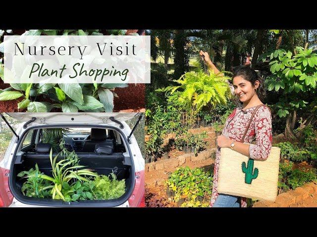 Come Plant Shopping to a Nursery with Me | Garden Up