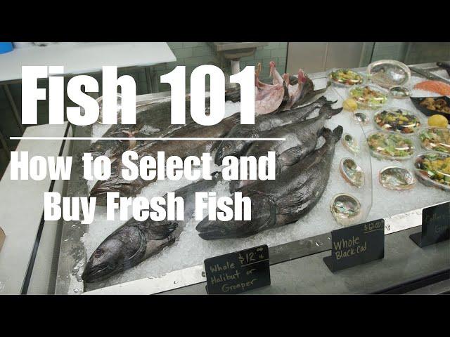 Fish 101 // How to Choose and Buy Fresh Seafood from your Local Fish Market