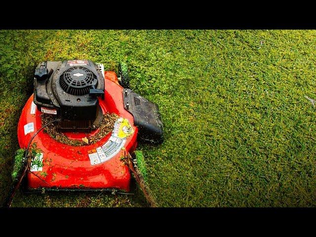 Consumer Reports: Best battery tool system