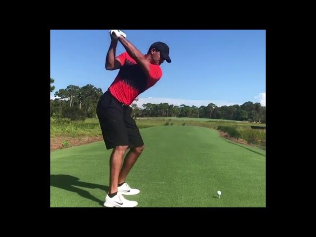 Tiger Woods Swings October 2017 | Comeback?