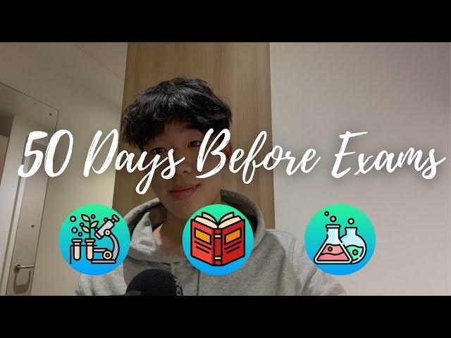 50 DAYS Until GCSES/A-LEVELS // What Now?