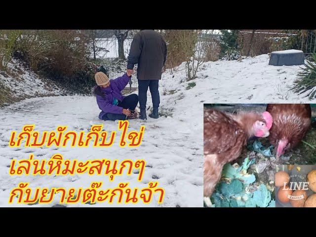 #เมียฝรั่งชนบท,หลังจากหิมะตกมาลุยสวนเก็บผักเก็บไข่เล่นสไลเดอร์กับยายต๊ะกันจ้า